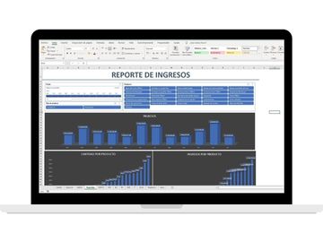 estructura financiera mup